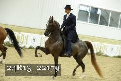 24R13_22179 thumbnail