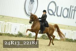 24R13_22181 thumbnail