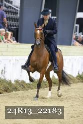 24R13_22183 thumbnail