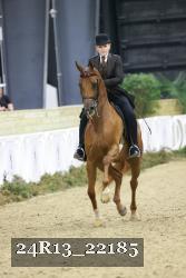 24R13_22185 thumbnail