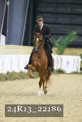 24R13_22186 thumbnail