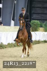 24R13_22187 thumbnail