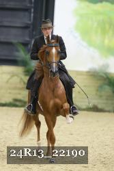 24R13_22190 thumbnail