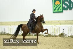 24R13_22192 thumbnail
