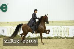 24R13_22193 thumbnail