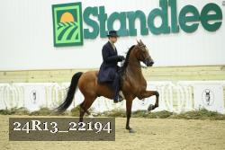 24R13_22194 thumbnail