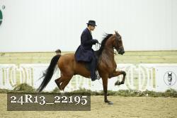 24R13_22195 thumbnail