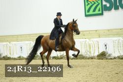 24R13_22196 thumbnail