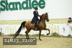 24R13_22197 thumbnail
