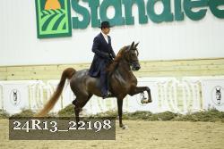 24R13_22198 thumbnail