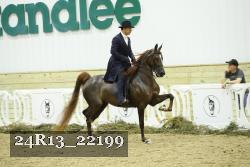 24R13_22199 thumbnail