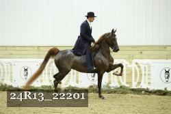 24R13_22201 thumbnail