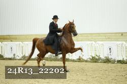 24R13_22202 thumbnail