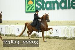 24R13_22203 thumbnail
