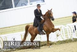 24R13_22204 thumbnail