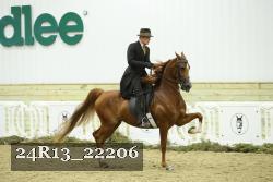 24R13_22206 thumbnail
