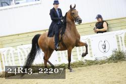24R13_22207 thumbnail