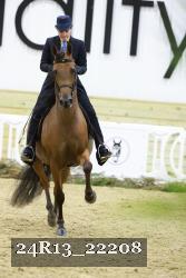 24R13_22208 thumbnail