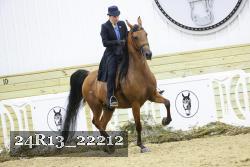 24R13_22212 thumbnail