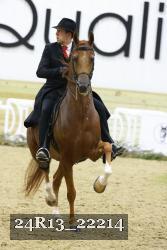24R13_22214 thumbnail