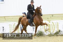 24R13_22218 thumbnail