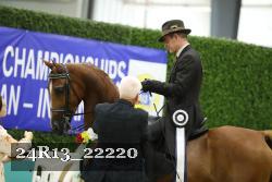 24R13_22220 thumbnail