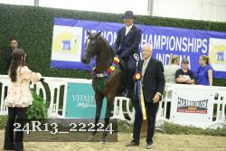 24R13_22224 thumbnail