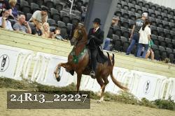 24R13_22227 thumbnail