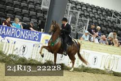 24R13_22228 thumbnail