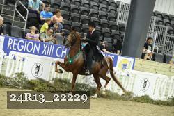 24R13_22229 thumbnail