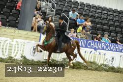 24R13_22230 thumbnail