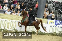 24R13_22231 thumbnail