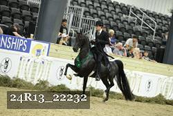 24R13_22232 thumbnail
