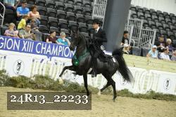 24R13_22233 thumbnail