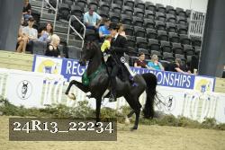 24R13_22234 thumbnail
