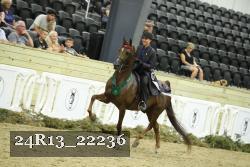 24R13_22236 thumbnail