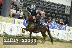 24R13_22239 thumbnail