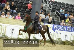24R13_22240 thumbnail