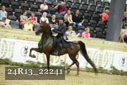 24R13_22241 thumbnail