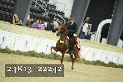 24R13_22242 thumbnail