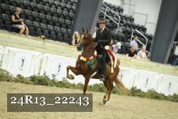 24R13_22243 thumbnail
