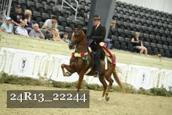24R13_22244 thumbnail