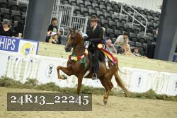 24R13_22245 thumbnail