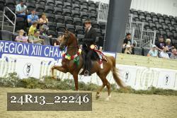 24R13_22246 thumbnail