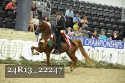 24R13_22247 thumbnail
