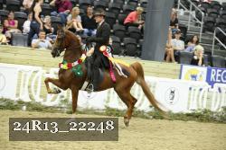 24R13_22248 thumbnail