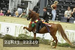 24R13_22249 thumbnail