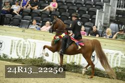 24R13_22250 thumbnail