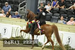 24R13_22251 thumbnail