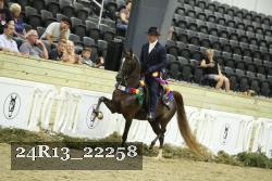 24R13_22258 thumbnail